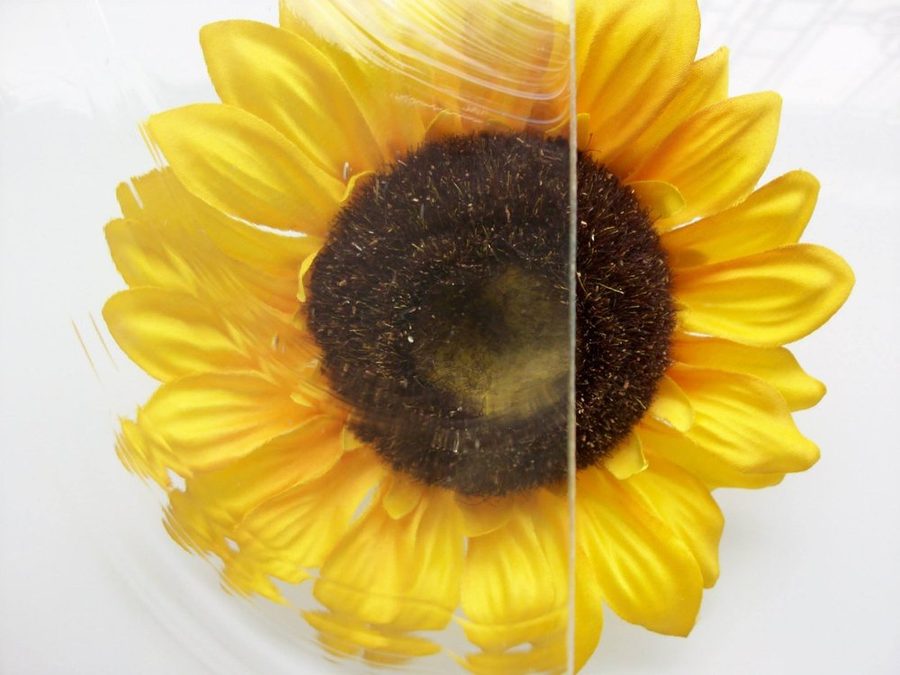 Baroque textured glass, shown over a sunflower