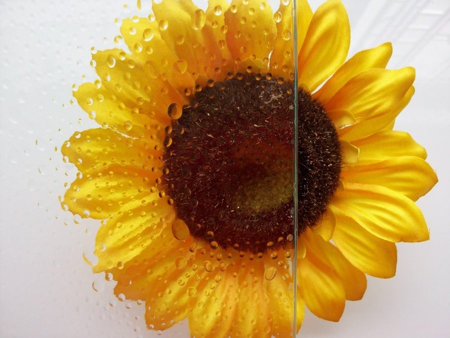 Bubbles textured glass, shown over a sunflower